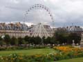 Riesenrad im Jardin Des Tuileries